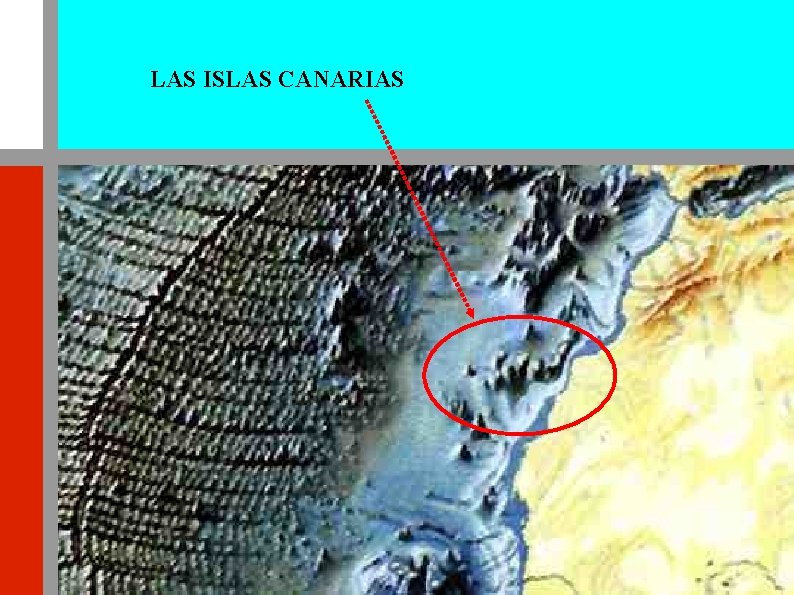 LAS ISLAS CANARIAS 