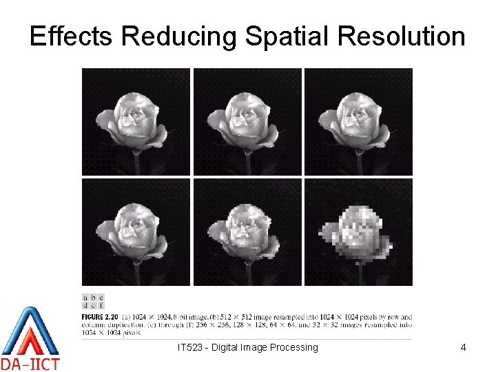 Effects Reducing Spatial Resolution IT 523 - Digital Image Processing 4 