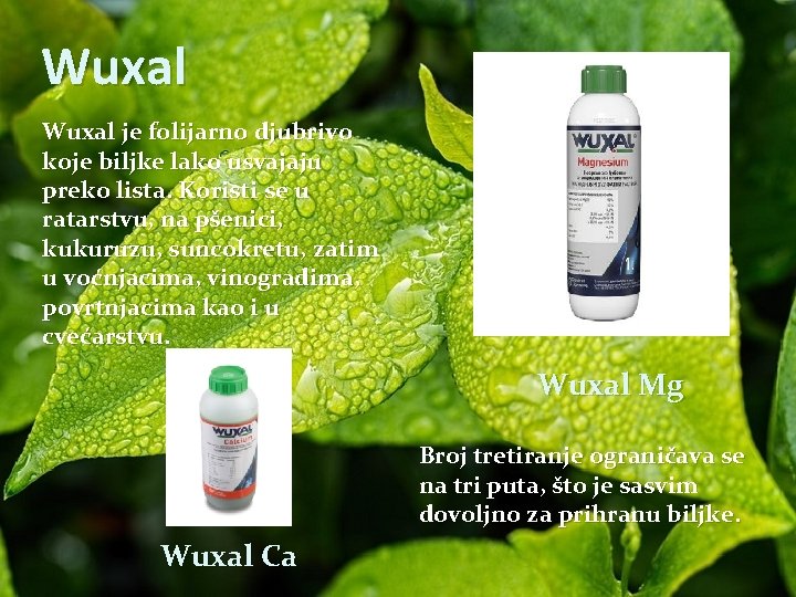 Wuxal je folijarno djubrivo koje biljke lako usvajaju preko lista. Koristi se u ratarstvu,