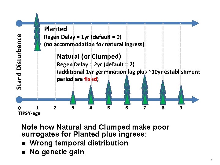 Stand Disturbance Planted 1 0 TIPSY-age Regen Delay = 1 yr (default = 0)