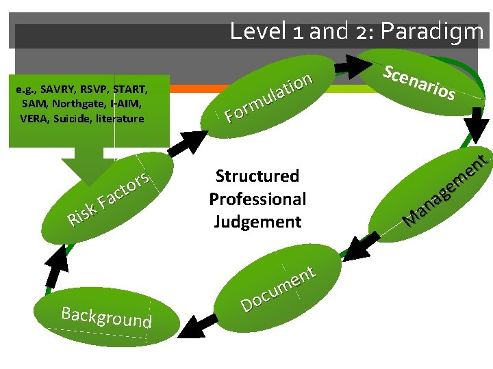 Level 1 and 2: Paradigm e. g. , SAVRY, RSVP, START, SAM, Northgate, I-AIM,