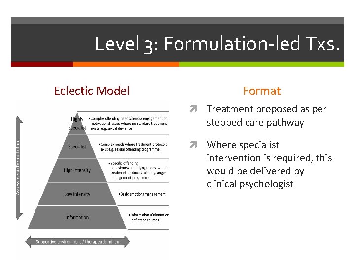 Level 3: Formulation-led Txs. Eclectic Model Format Treatment proposed as per stepped care pathway