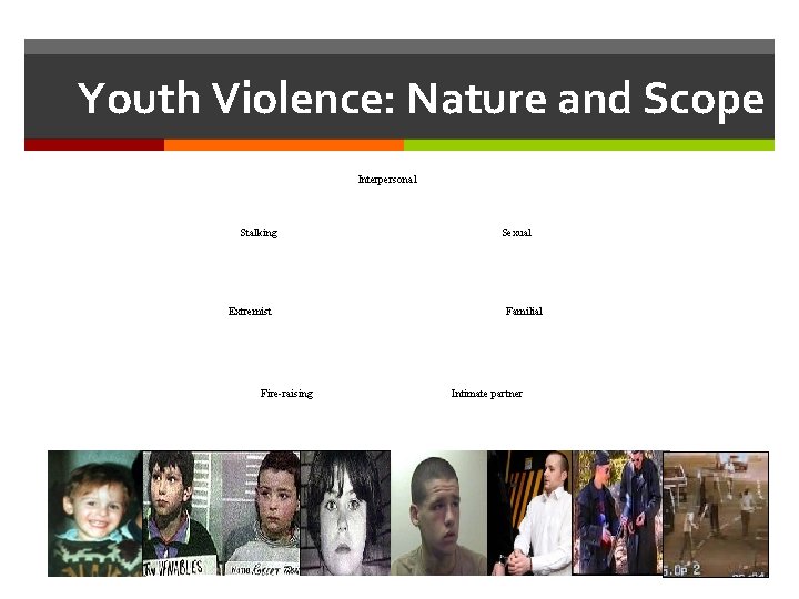 Youth Violence: Nature and Scope Interpersonal Stalking Extremist Fire-raising Sexual Familial Intimate partner 
