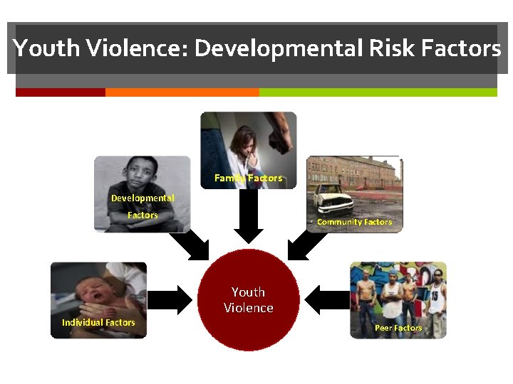 Youth Violence: Developmental Risk Factors Family Factors Developmental Factors Community Factors Youth Violence Individual