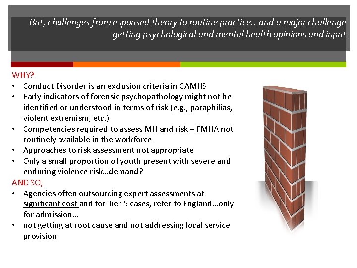 Interventions for Vulnerable Youth IVY DR LORRAINE JOHNSTONE