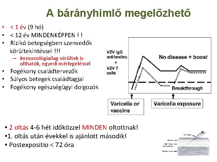 A bárányhimlő megelőzhető • < 1 év (9 hó) • < 12 év MINDENKÉPPEN