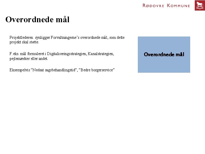 Overordnede mål Projektlederen synliggør Forvaltningerne’s overordnede mål, som dette projekt skal støtte. F. eks.