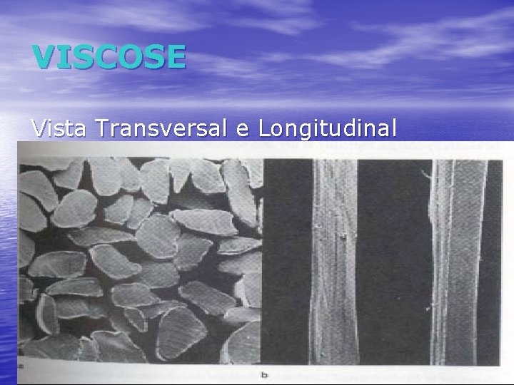 VISCOSE Vista Transversal e Longitudinal 