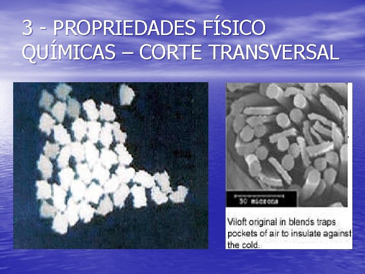 3 - PROPRIEDADES FÍSICO QUÍMICAS – CORTE TRANSVERSAL 