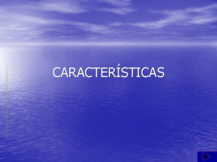 CARACTERÍSTICAS 