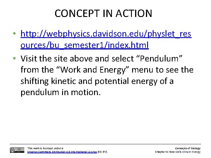 CONCEPT IN ACTION • http: //webphysics. davidson. edu/physlet_res ources/bu_semester 1/index. html • Visit the