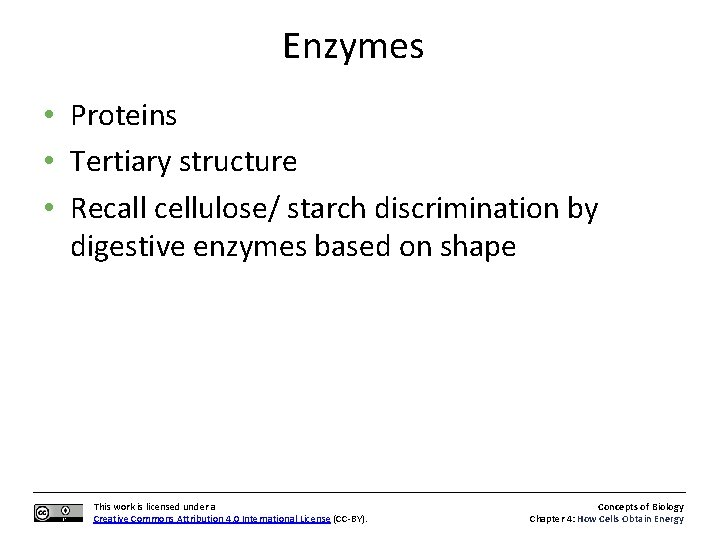 Enzymes • Proteins • Tertiary structure • Recall cellulose/ starch discrimination by digestive enzymes