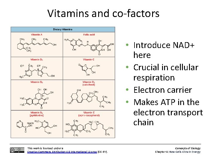 Vitamins and co-factors • Introduce NAD+ here • Crucial in cellular respiration • Electron