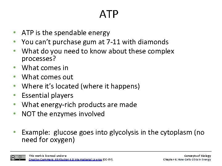 ATP • ATP is the spendable energy • You can’t purchase gum at 7