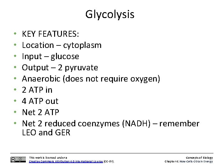 Glycolysis • • • KEY FEATURES: Location – cytoplasm Input – glucose Output –