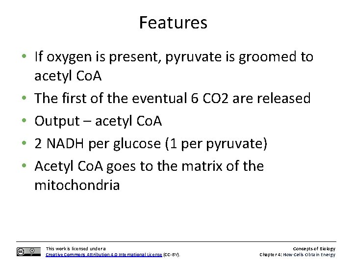 Features • If oxygen is present, pyruvate is groomed to acetyl Co. A •