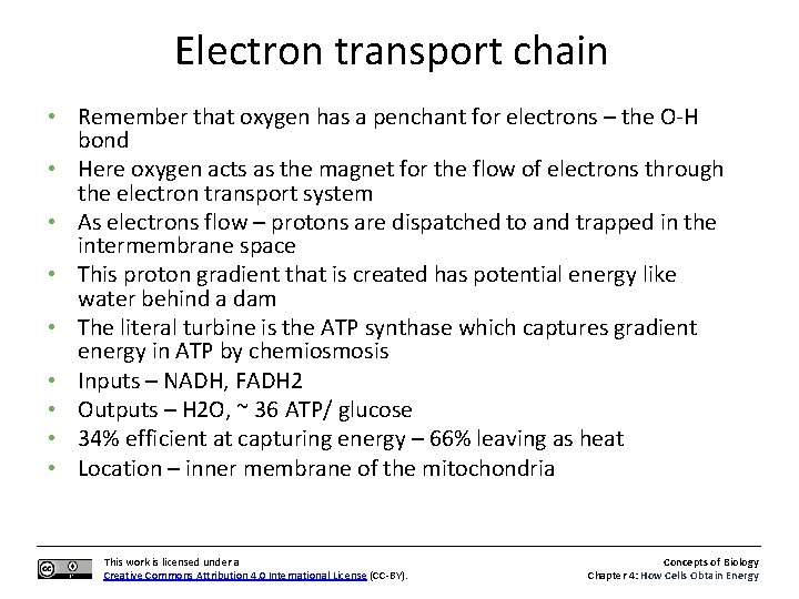 Electron transport chain • Remember that oxygen has a penchant for electrons – the