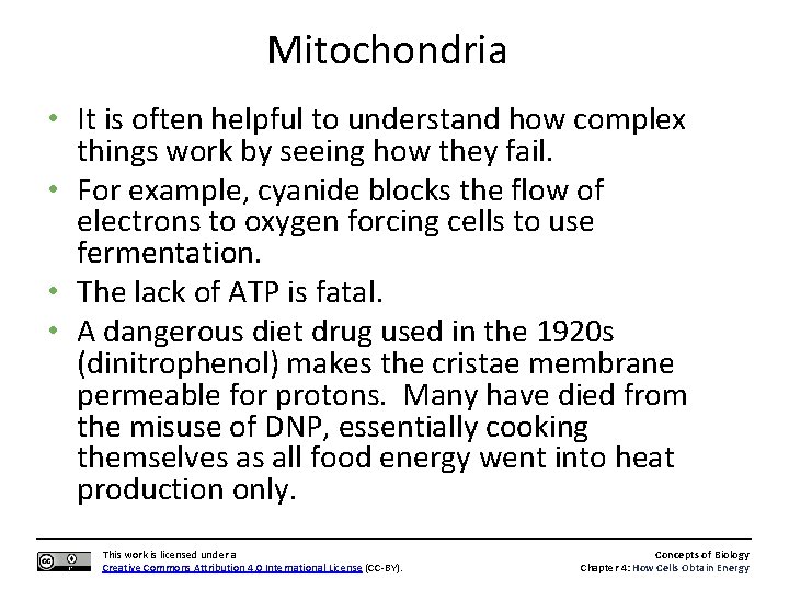 Mitochondria • It is often helpful to understand how complex things work by seeing