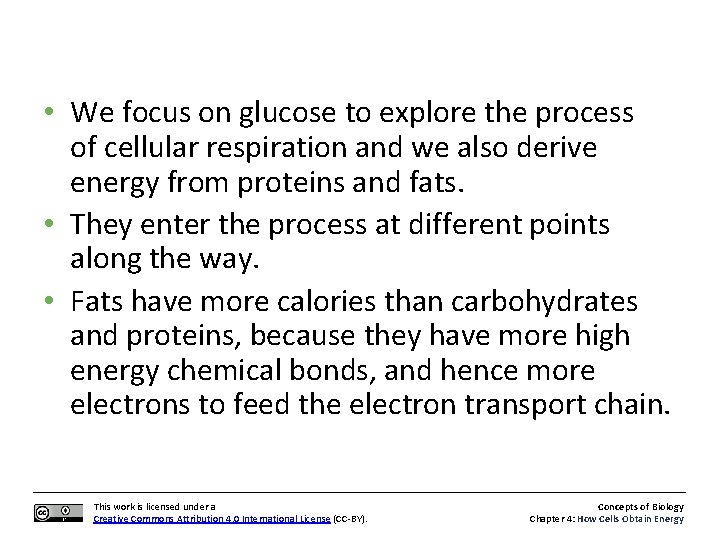  • We focus on glucose to explore the process of cellular respiration and