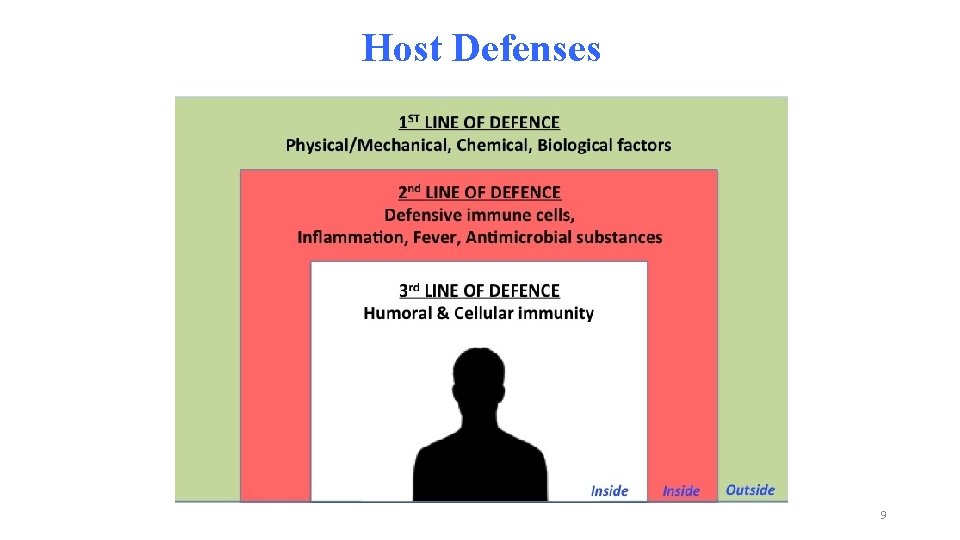 Host Defenses 9 