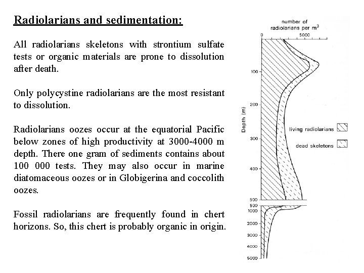 Radiolarians and sedimentation: All radiolarians skeletons with strontium sulfate tests or organic materials are