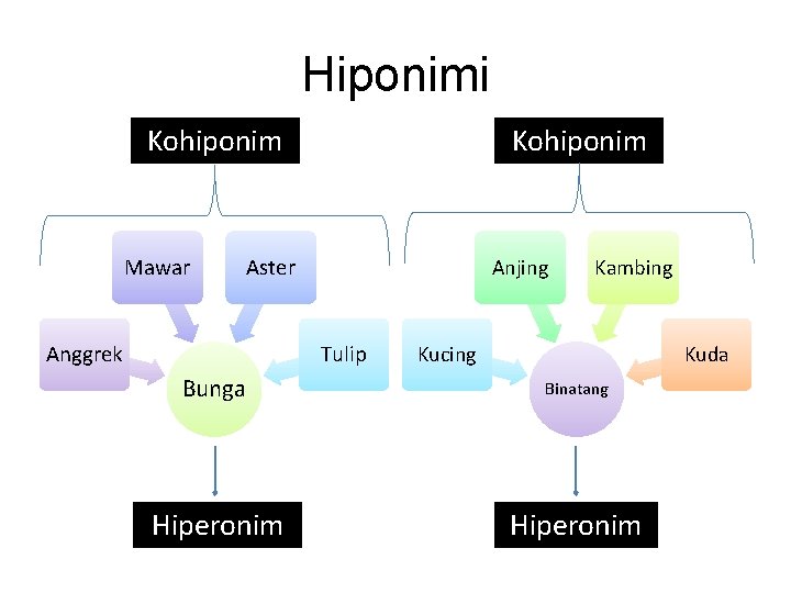 Hiponimi Kohiponim Mawar Kohiponim Aster Anggrek Anjing Tulip Kambing Kucing Kuda Bunga Binatang Hiperonim