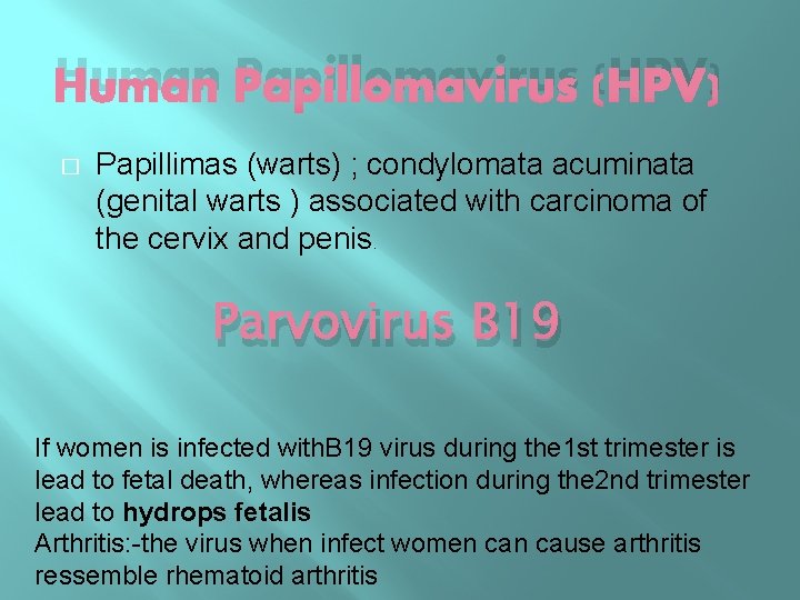 Human Papillomavirus (HPV) � Papillimas (warts) ; condylomata acuminata (genital warts ) associated with
