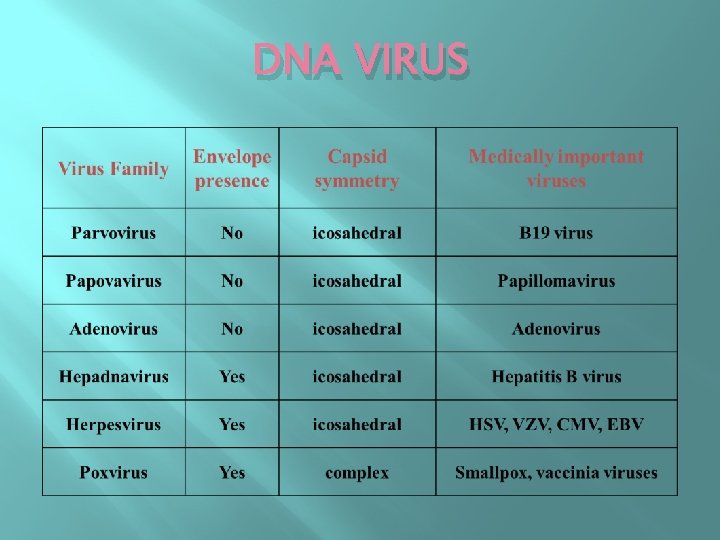 DNA VIRUS 