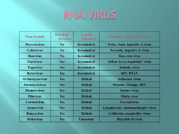 RNA VIRUS 