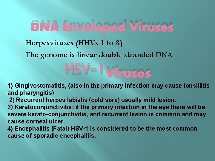 DNA Enveloped Viruses � � Herpesviruses (HHVs 1 to 8) The genome is linear