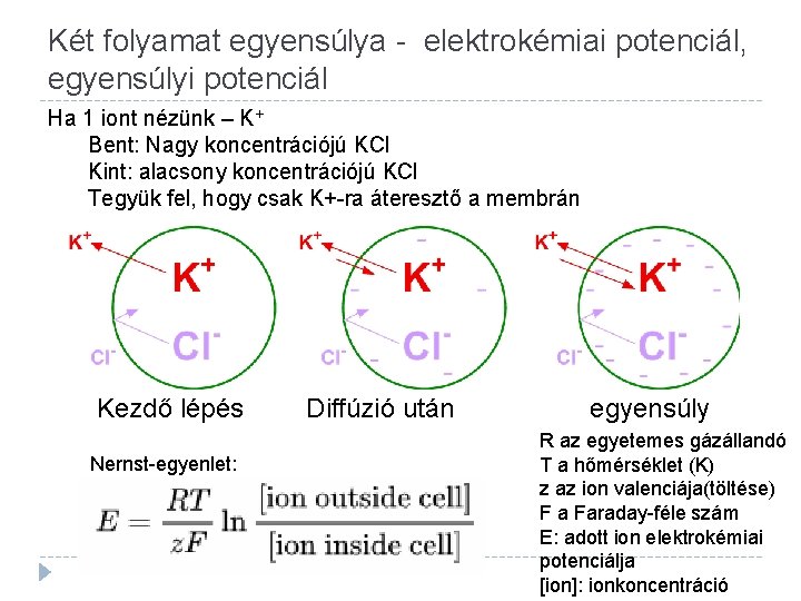 Két folyamat egyensúlya - elektrokémiai potenciál, egyensúlyi potenciál Ha 1 iont nézünk – K+