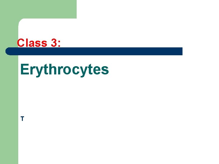 Class 3: Erythrocytes T 