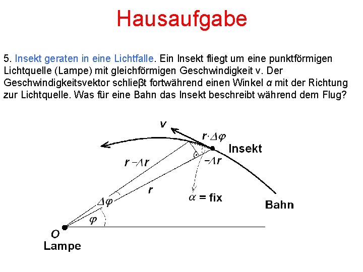 Hausaufgabe 5. Insekt geraten in eine Lichtfalle. Ein Insekt fliegt um eine punktförmigen Lichtquelle
