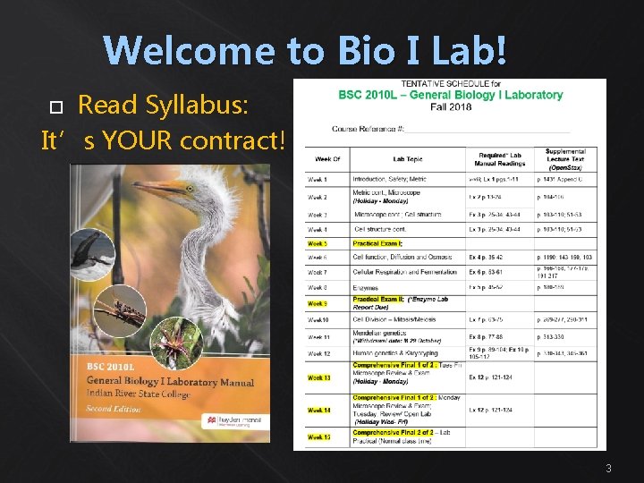 Welcome to Bio I Lab! Read Syllabus: It’s YOUR contract! 3 