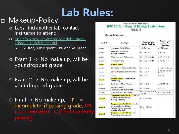  Makeup-Policy Lab Rules: Labs-find another lab, contact instructor to attend http: //biology-irsc. weebly.