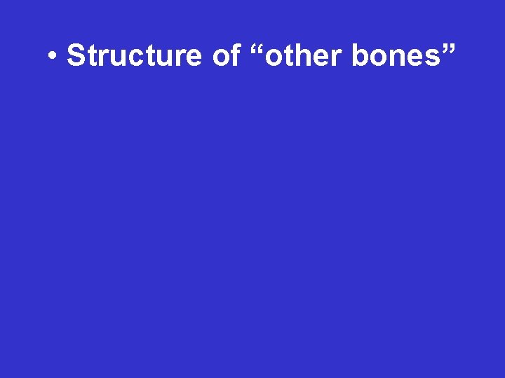  • Structure of “other bones” 