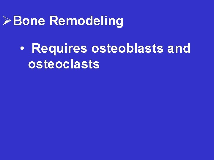 ØBone Remodeling • Requires osteoblasts and osteoclasts 