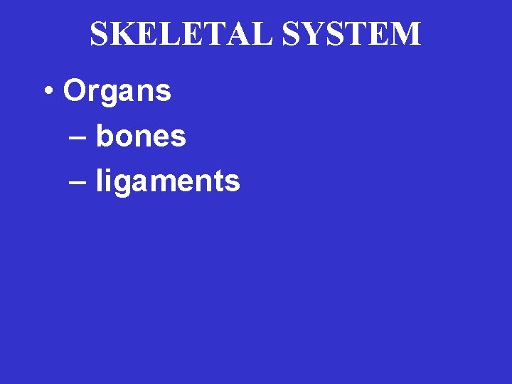 SKELETAL SYSTEM • Organs – bones – ligaments 