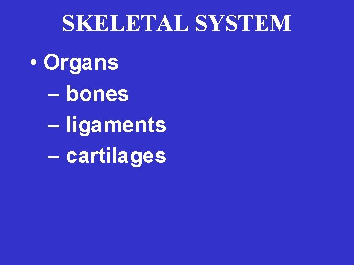 SKELETAL SYSTEM • Organs – bones – ligaments – cartilages 
