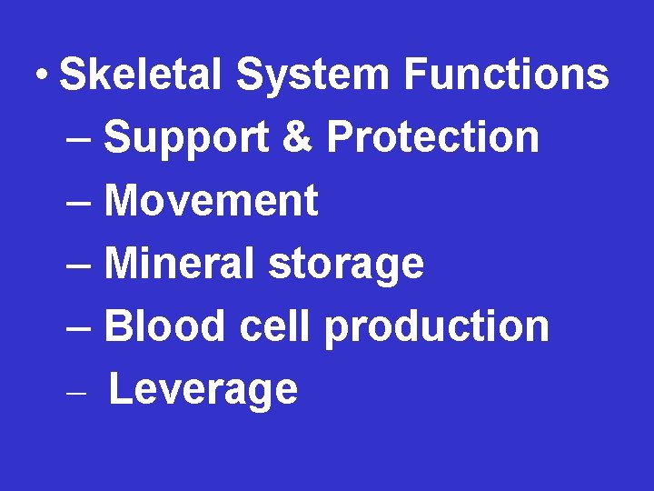  • Skeletal System Functions – Support & Protection – Movement – Mineral storage