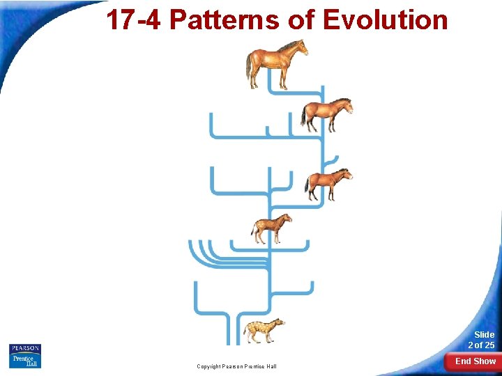 Biology Slide 1 of 25 Copyright Pearson Prentice