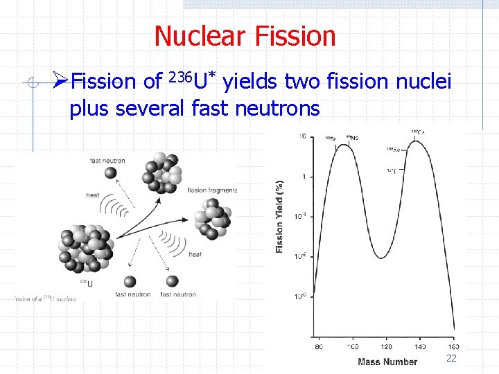 Nuclear Fission ØFission of 236 U* yields two fission nuclei plus several fast neutrons