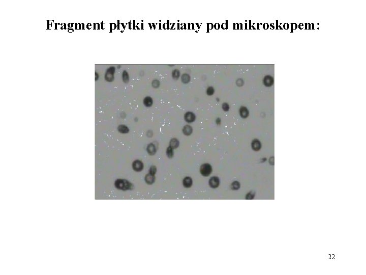 Fragment płytki widziany pod mikroskopem: 22 