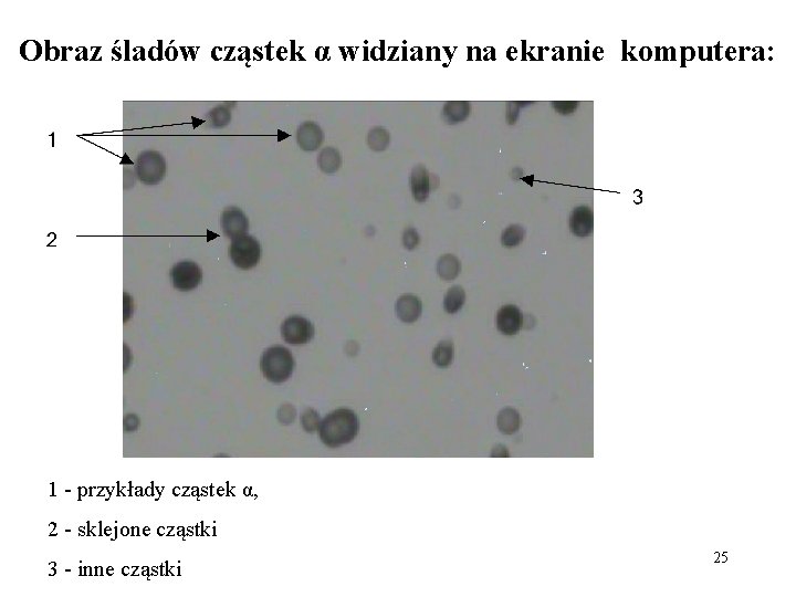 Obraz śladów cząstek α widziany na ekranie komputera: 1 - przykłady cząstek α, 2