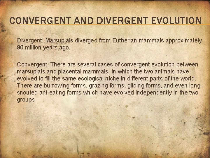 CONVERGENT AND DIVERGENT EVOLUTION � Divergent: Marsupials diverged from Eutherian mammals approximately 90 million