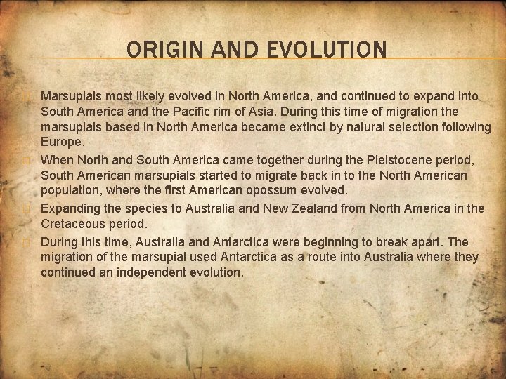 ORIGIN AND EVOLUTION � � Marsupials most likely evolved in North America, and continued