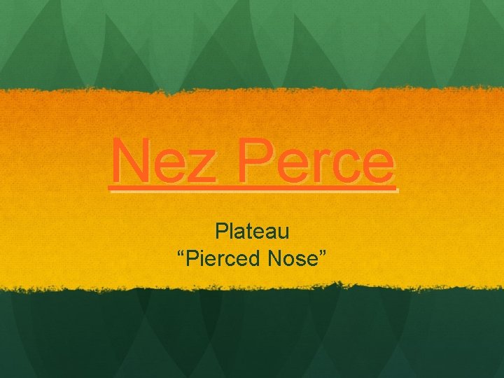 Nez Perce Plateau “Pierced Nose” 