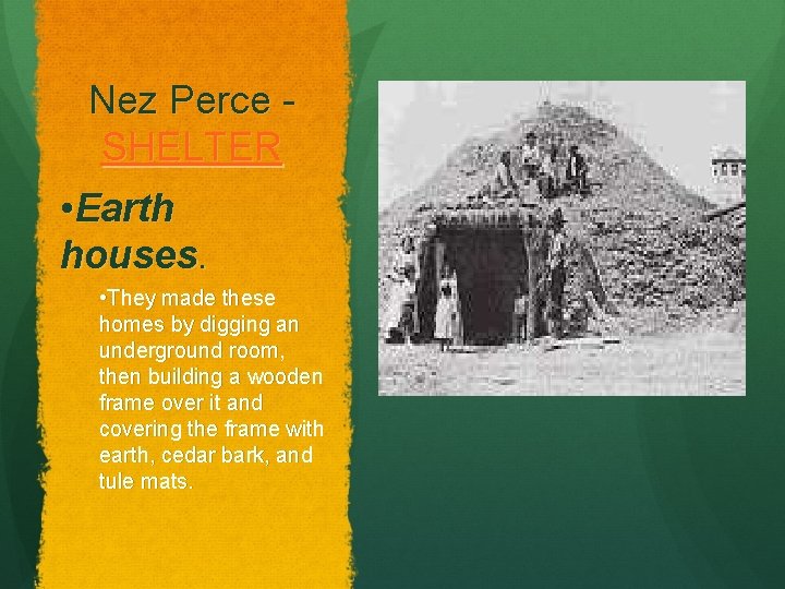 Nez Perce SHELTER • Earth houses. • They made these homes by digging an