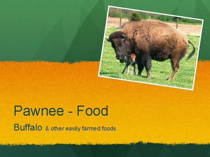 Pawnee - Food Buffalo & other easily farmed foods 