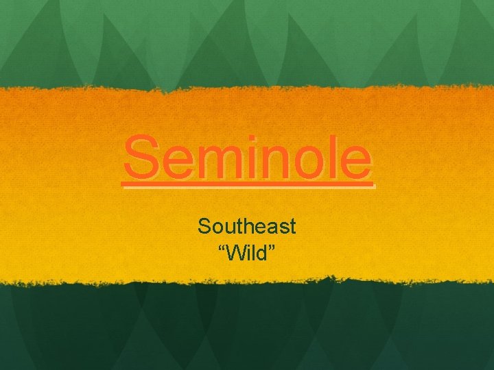 Seminole Southeast “Wild” 